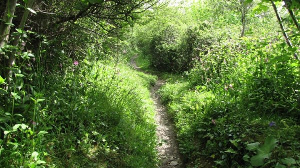 Worswell Barton B&B walk down to cellars.jpg